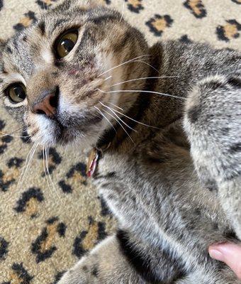 Lower Hillsborough Wilderness Preserve
