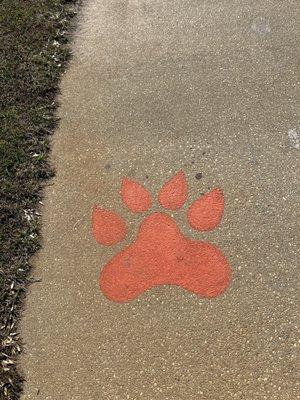 Tiger Point Sports Association