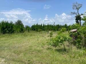 Emerald Coast Broker