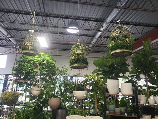 The Plant People Design Center