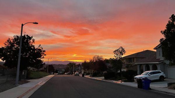 The Strategy Partners