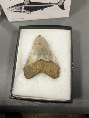 Lincoln Public Library