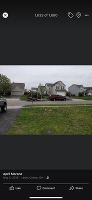 We filled an entire car hauler with dead shrubbery