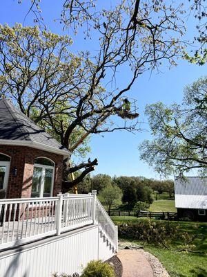 Dustins Lawn and Tree Service