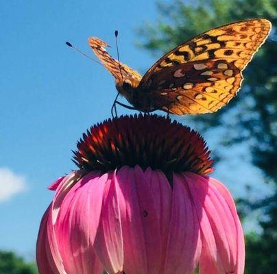 Soul Fire Farm Institute Inc