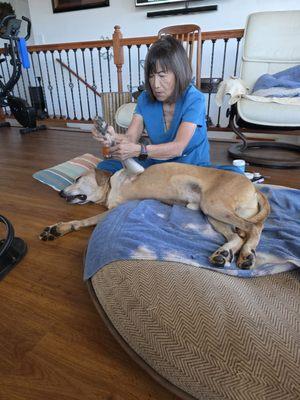 Judith spending time on limb, ligaments, bones and muscles.
