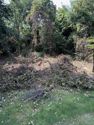 Red Dirt Brush Hauling