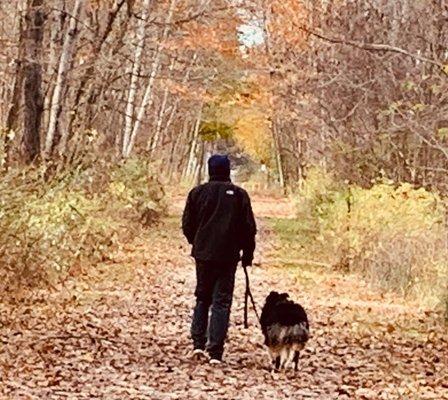 Correct heel position, loose leash walking.