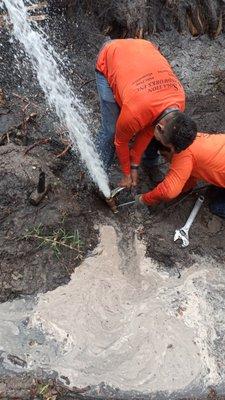 We Do It Right Services