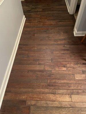 Before stain removal