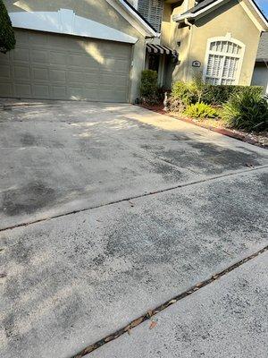 Ragin Cajun Softwash