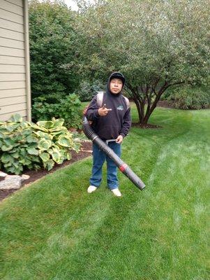 Enriquez Lawn Service