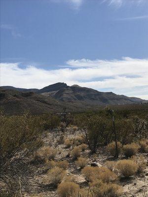 Coldwell Banker Sudderth Nelson, Inc