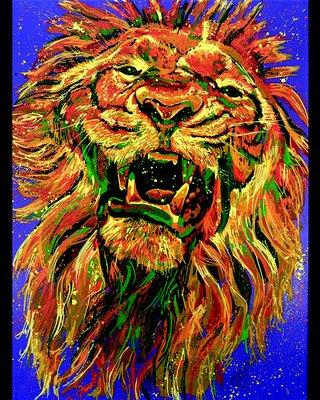 Screen Door Studios Gallery