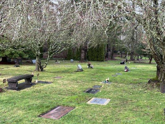 Oswego Pioneer Cemetery