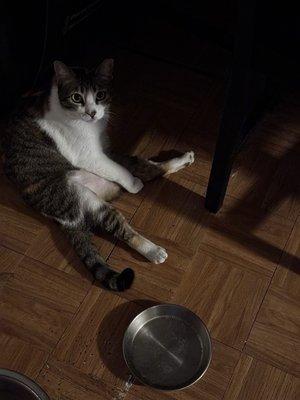 Young Women's Leadership Academy