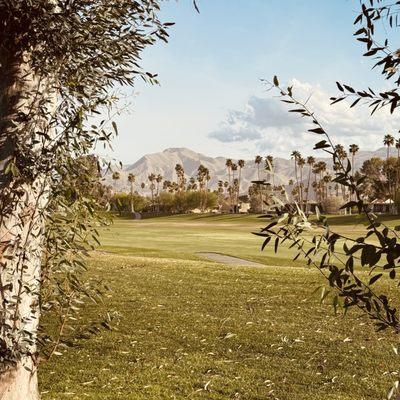 Tahquitz Creek Golf Resort