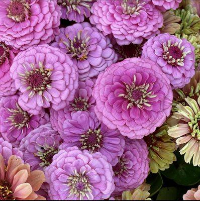 Flower Girl Apothecary