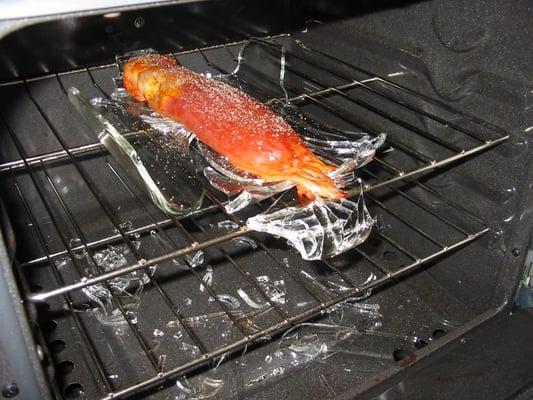 Pyrex 9" x 13" oblong glass baking dish explosion