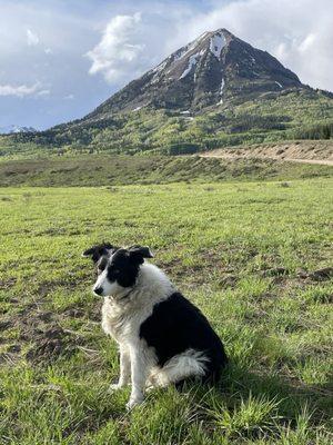 Gunnison Valley Veterinary Clinic