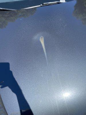 Rust stain on the hood of my car after parking at Supreme Parking Services