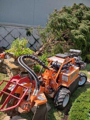 JLG Tree Services
