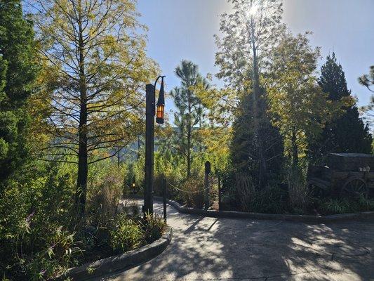 Curse of the Werewolf