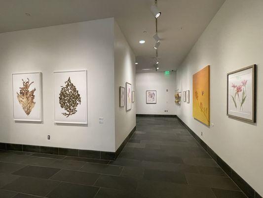 The Gallery at Atlantic Wharf