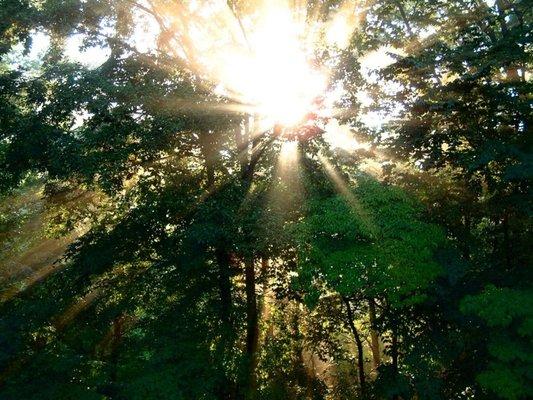 Compassionate Therapy