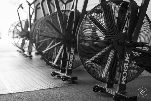 Echo bikes ready to test your engine - hard work!