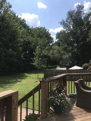 Cut Rate Tree Service