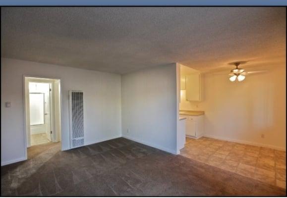 Dining & partial living room