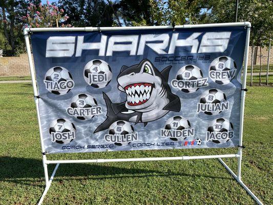 High quality team banner (DIY PVC pipe stand not included)