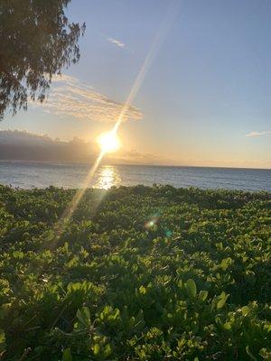 Beautiful view for photos