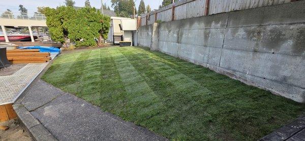 Carmona Landscaping and Tree Service