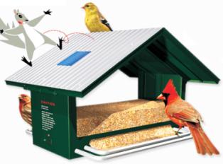 The Squirrel-Off™ squirrel proof bird feeder, repels squirrels, feeds birds, and creates a habitat of harmony in any yard!