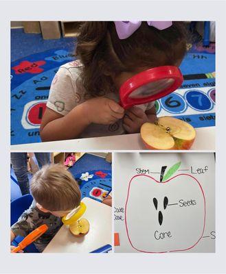 The Children's Village