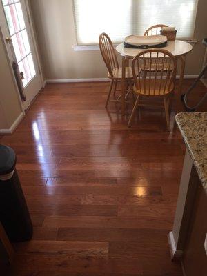 Spotless 101 Cleaning Services