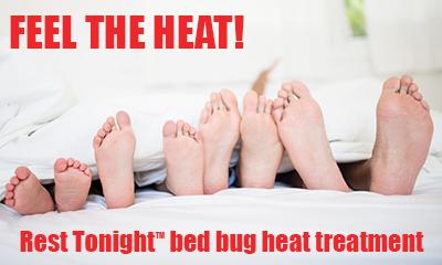 Four Seasons Pest Control