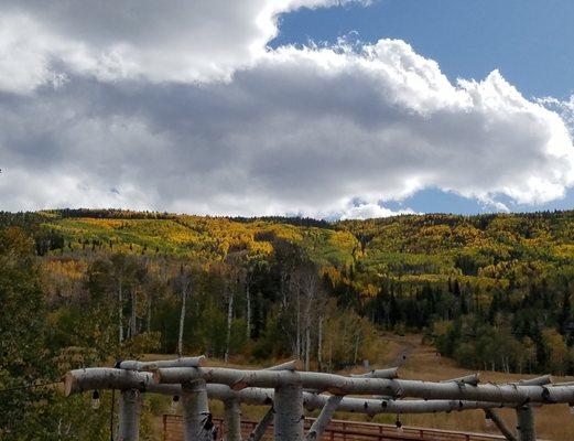 Roaring Fork Reporting