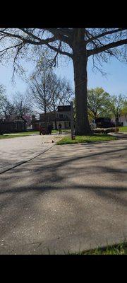 AAA & D Tree Service