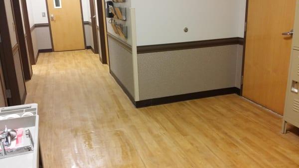 This is one more reason to use KND For your cleaning Needs.