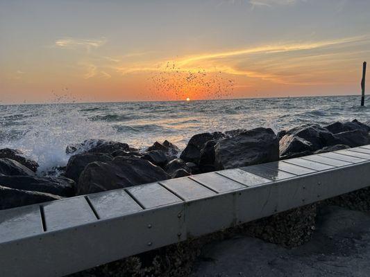 Honeymoon Island State Park