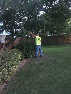 Montana Tree Service Plus