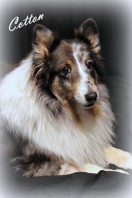 Treasured Memories by Mandy