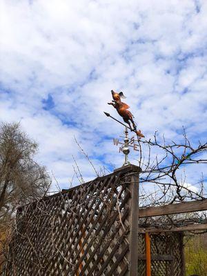 Eclectic artwork on our wine tour