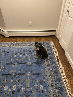 H&R Boston Rug Cleaners