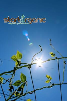 StartOrganic Vegetable Garden Service