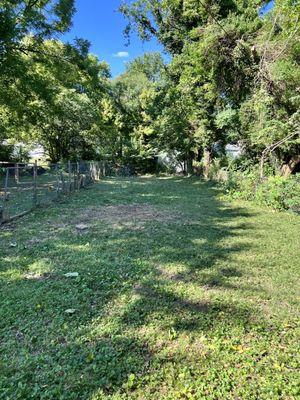 Rm Tree & Stump Removal