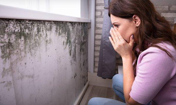 Mold growth around windows, common areas. Have this issue, we can help. Give us a call. 850-740-3170